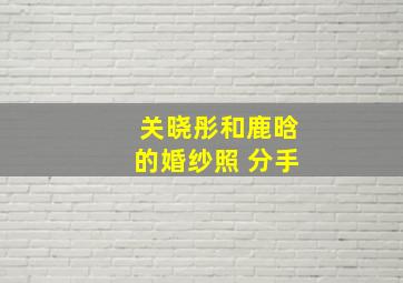 关晓彤和鹿晗的婚纱照 分手